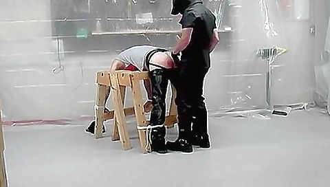 Spanking XXX Videos (348)