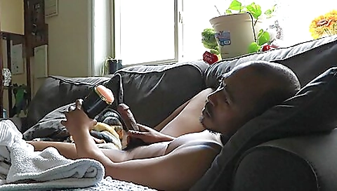 Muscle XXX Videos (341)