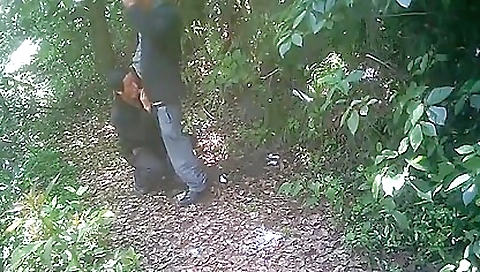 Older Oriental Men Enjoy It In The Forest